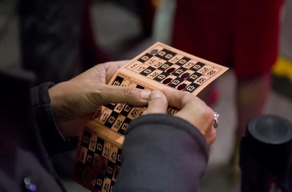 Bingo - Imagen 5